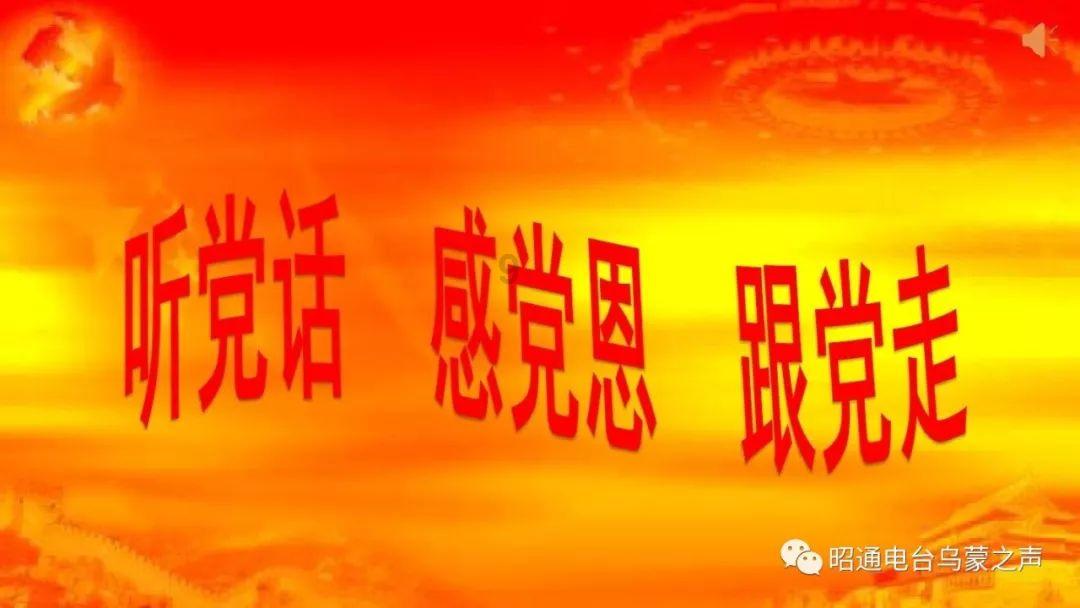 海贼王伟大冒险2